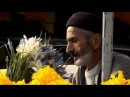 TEHRAN 24